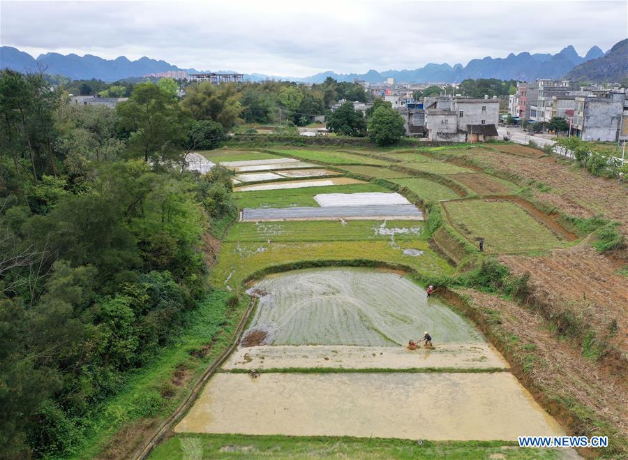 Spring scenery of Du'an, south China's Guangxi