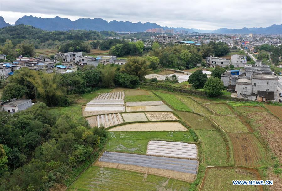 Spring scenery of Du'an, south China's Guangxi