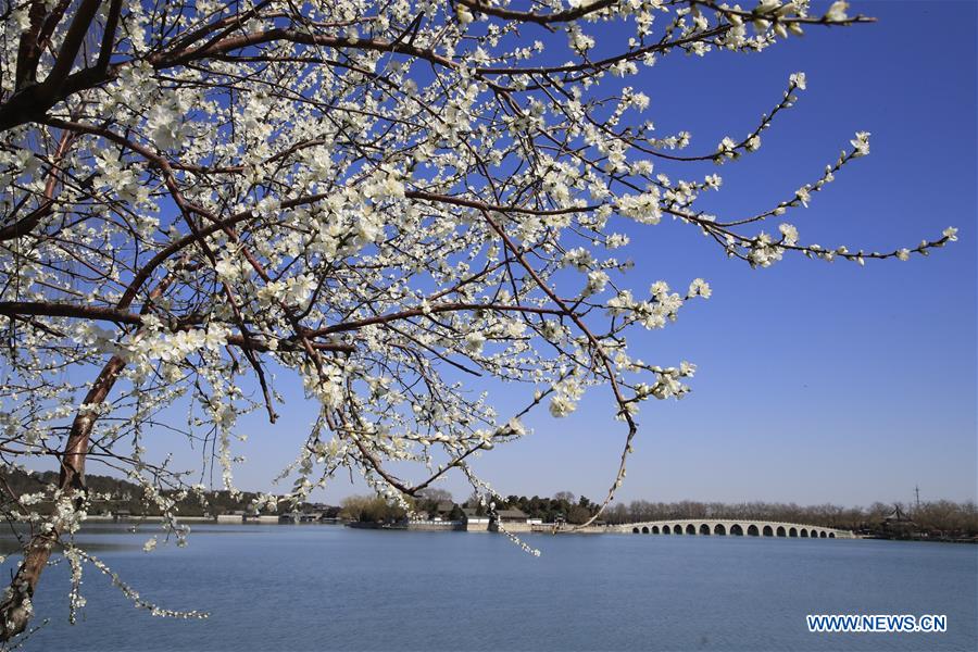 In pics: scenery of Summer Palace in Beijing, China