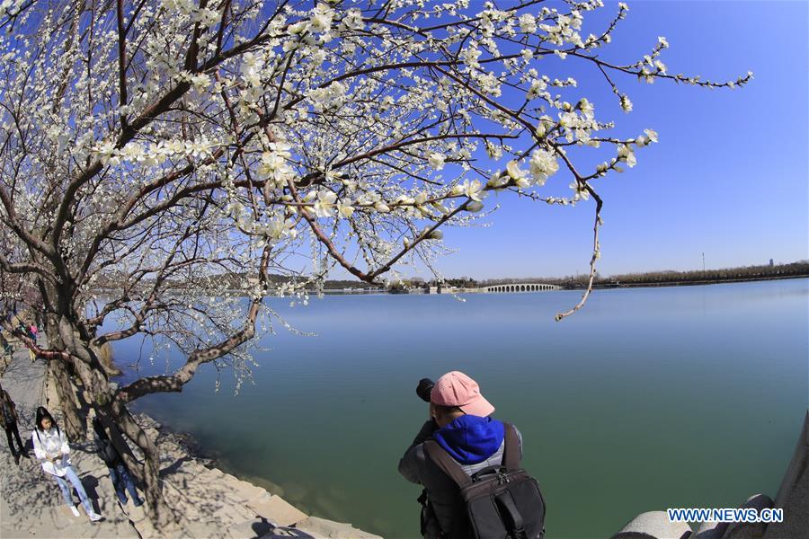 In pics: scenery of Summer Palace in Beijing, China