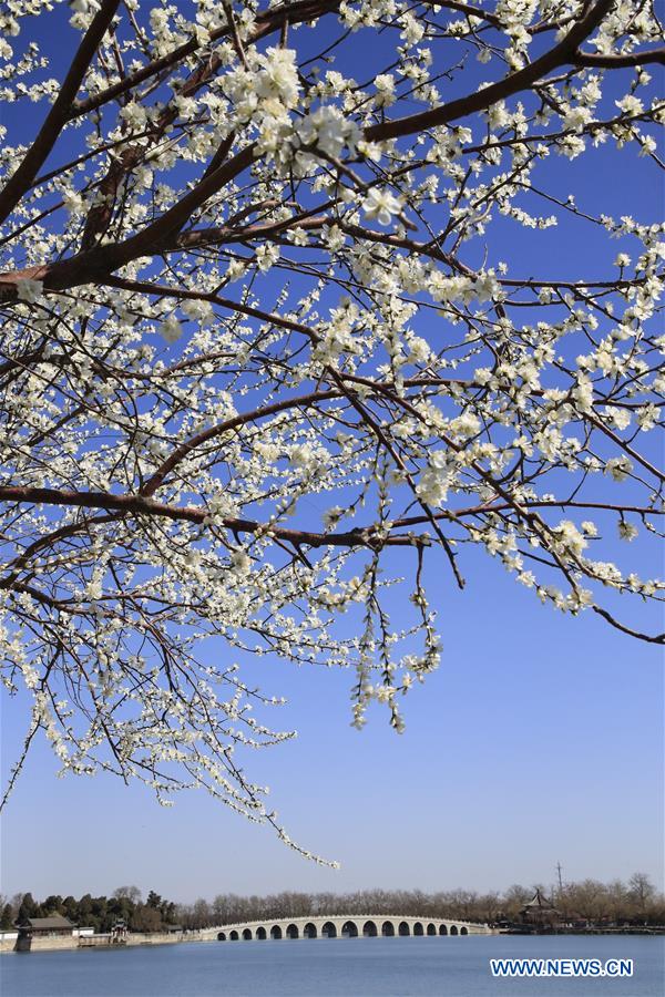 In pics: scenery of Summer Palace in Beijing, China