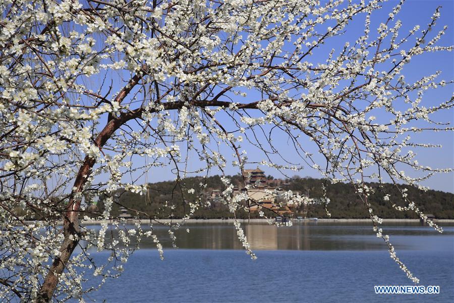 In pics: scenery of Summer Palace in Beijing, China