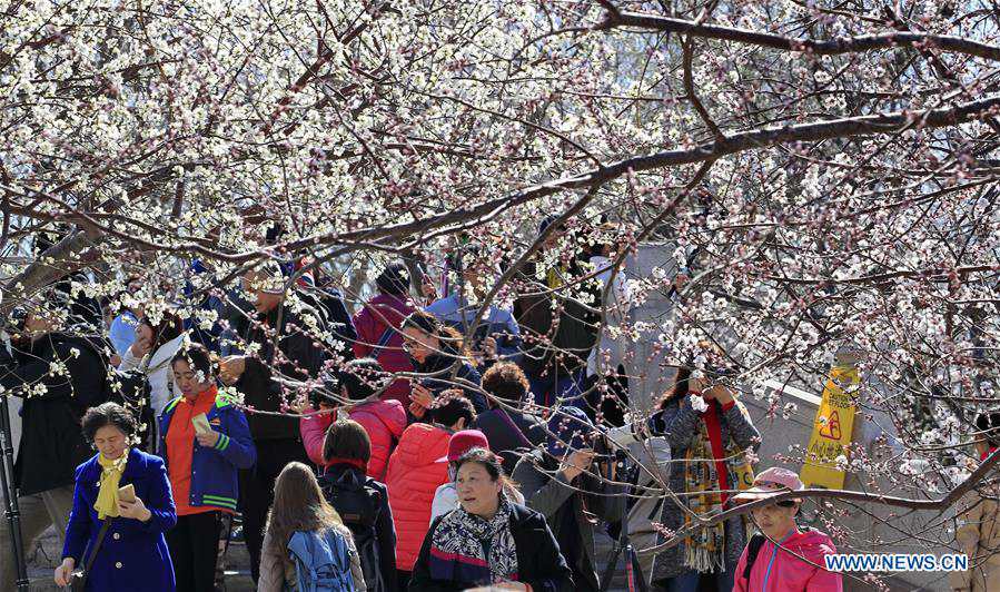 In pics: scenery of Summer Palace in Beijing, China