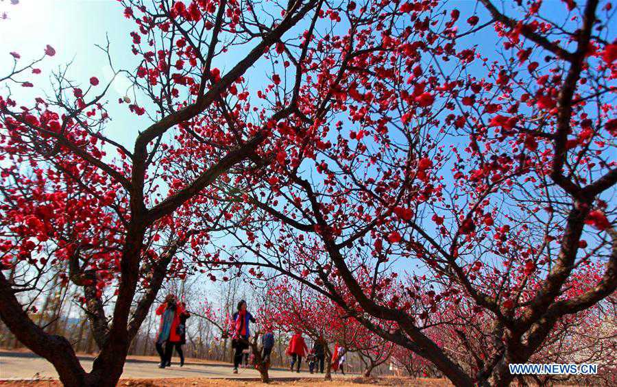 People enjoy scenery of early spring across China