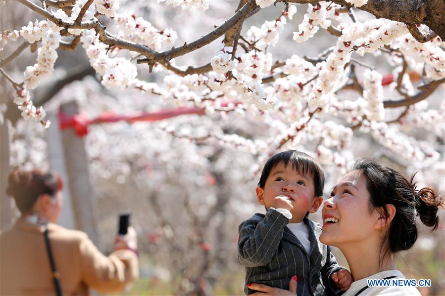 People enjoy scenery of early spring across China