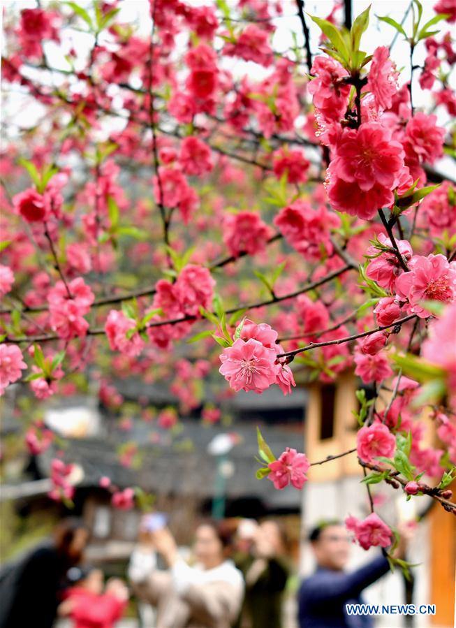 People enjoy scenery of early spring across China