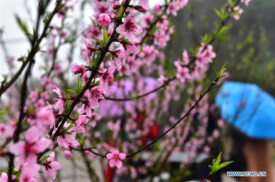 People enjoy scenery of early spring across China