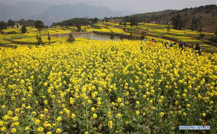 People enjoy scenery of early spring across China