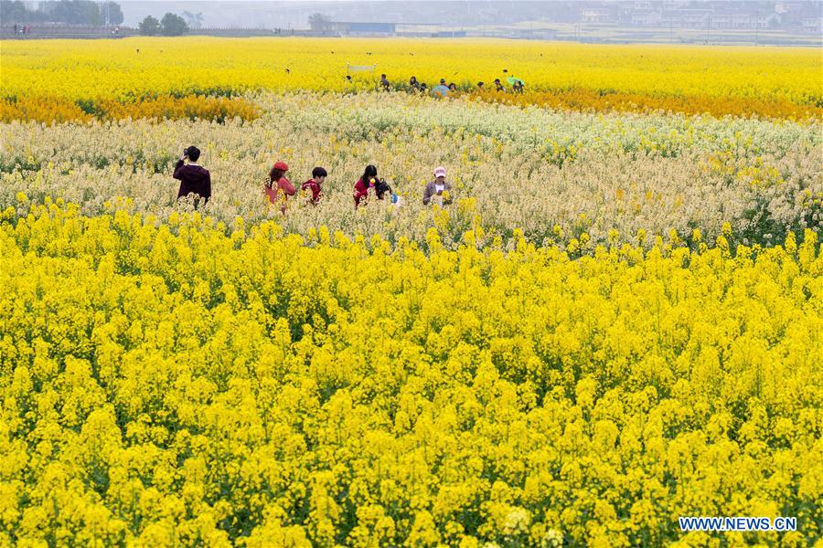 People enjoy scenery of early spring across China