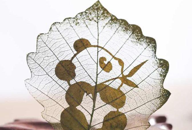 Chinese leaf carving gets international attention