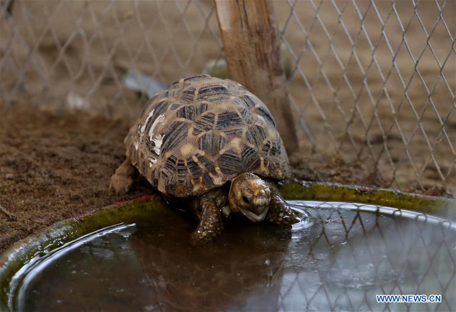 Animals seen at Zoological Gardens in Yangon, Myanmar