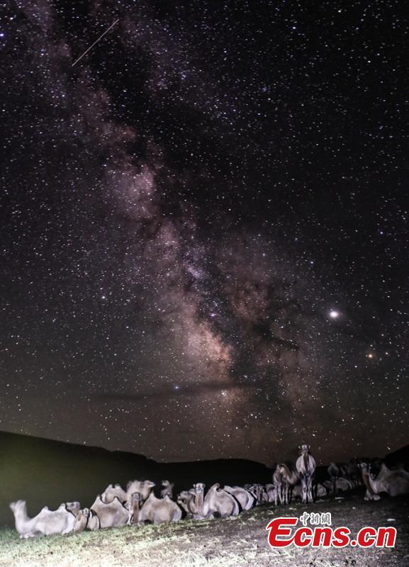 Xinjiang’s Bayingol a best place for stargazing