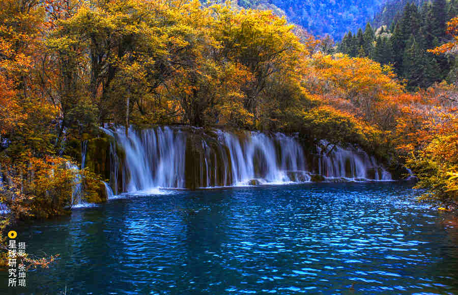 Famed Chinese scenic spot Jiuzhaigou welcomes more daily visitors