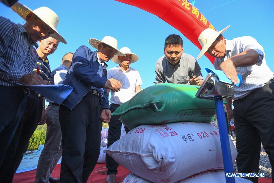 Third-generation hybrid rice achieves high yields in China