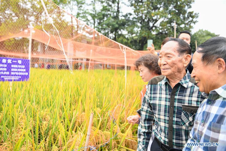 Third-generation hybrid rice achieves high yields in China