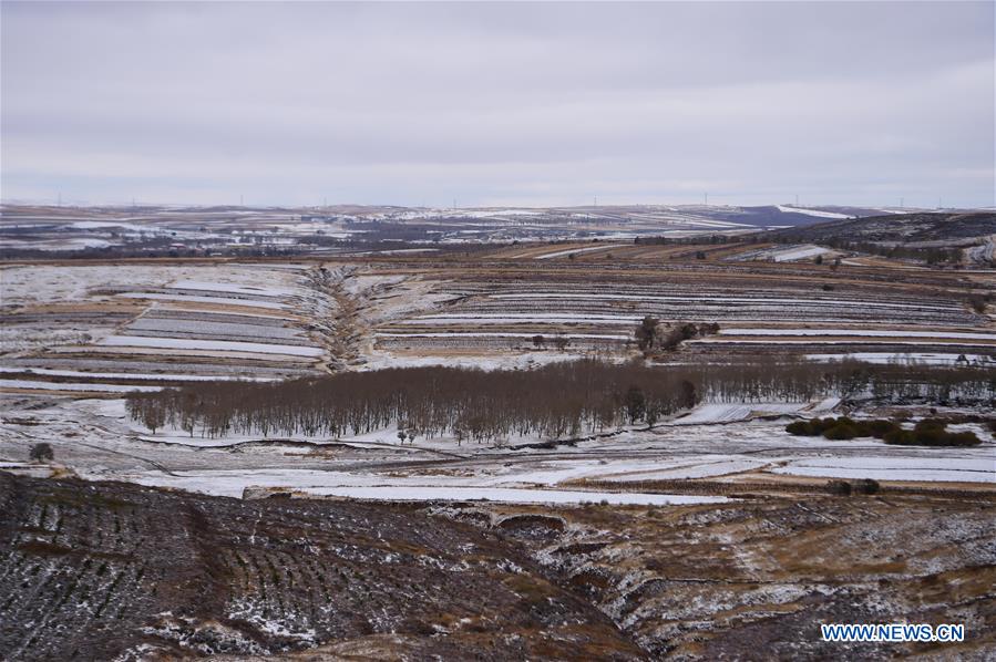 Scenery of snow-covered village houses and fields in China's Inner Mongolia