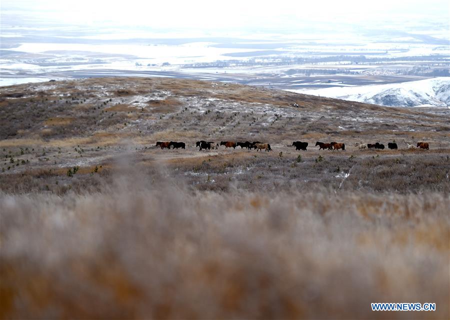 Scenery of snow-covered village houses and fields in China's Inner Mongolia