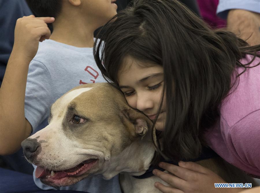 Mega Adoption event held in Texas, U.S.