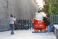 Giant “royal cats” appear in Beijing’s Palace Museum