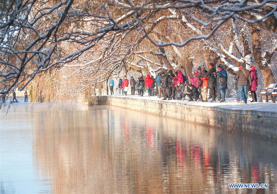 Snow scenery at Beiling park in Shenyang