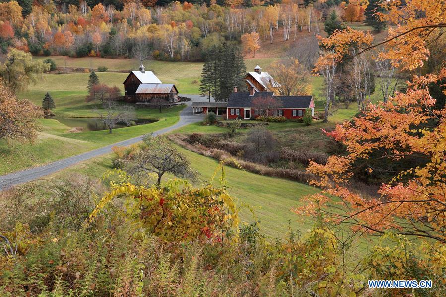 Autumn scenery in Vermont, U.S.