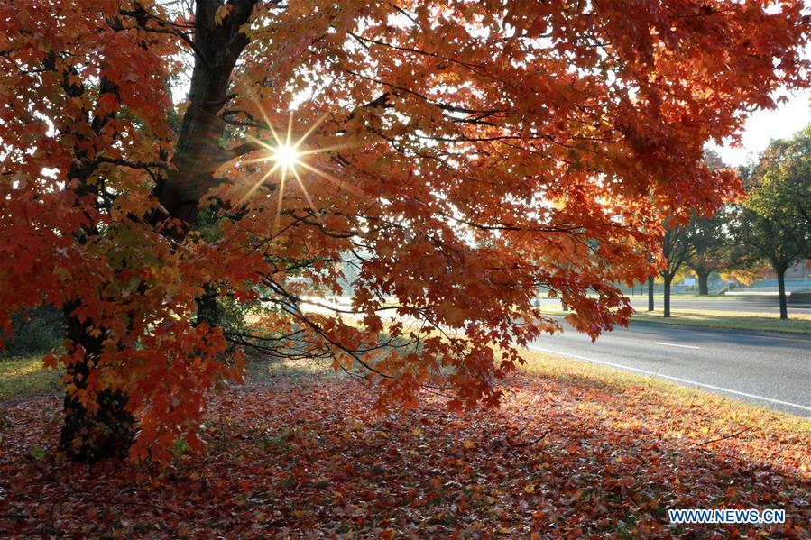 Autumn scenery in Vermont, U.S.