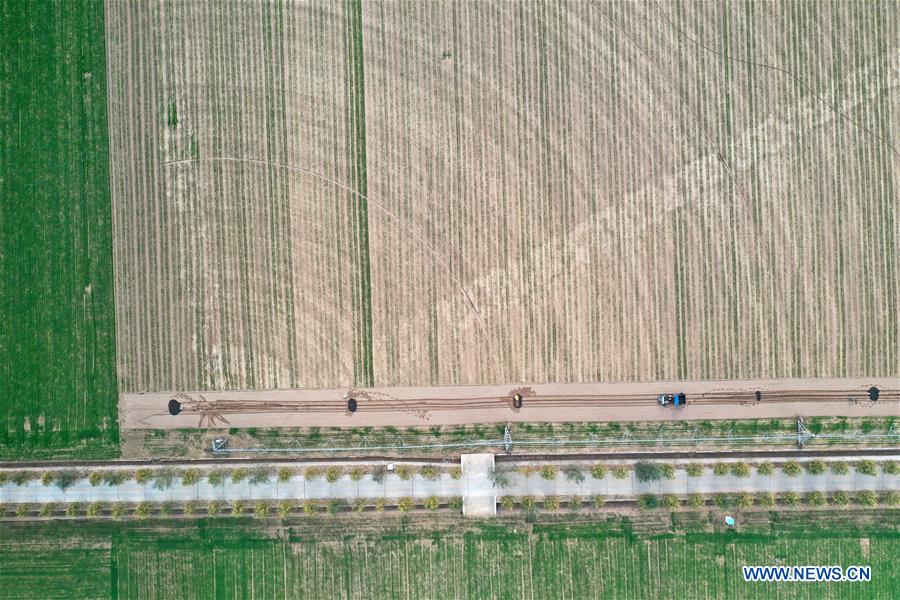 Scenery of winter wheat fields in China's Henan