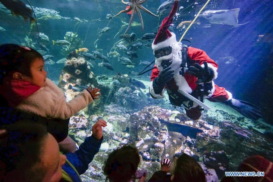 Scuba Claus Dive held in Vancouver