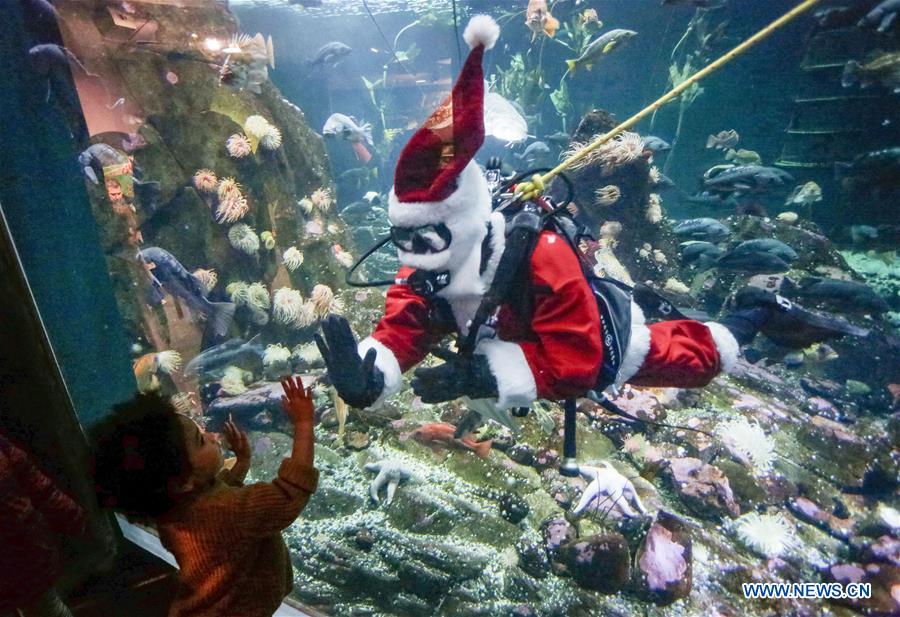 Scuba Claus Dive held in Vancouver