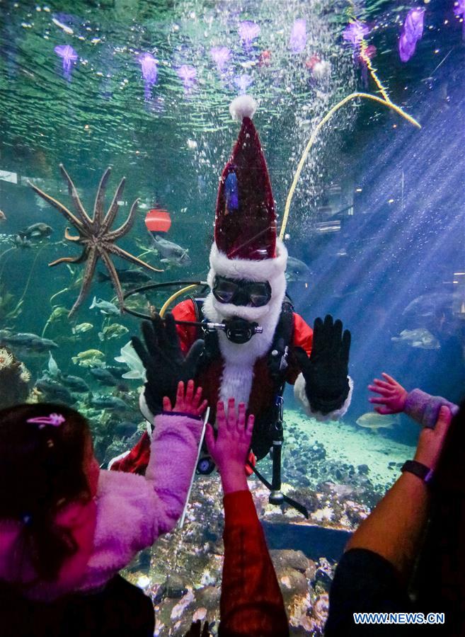 Scuba Claus Dive held in Vancouver