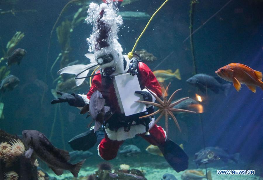 Scuba Claus Dive held in Vancouver