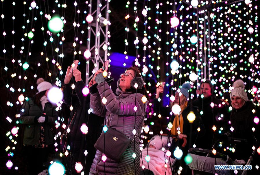 Lightscape exhibit held at Chicago Botanic Garden, U.S.