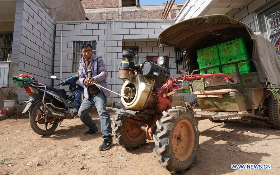 Pepino melon planting industry helps villagers get rid of poverty in SW China's Yunnan