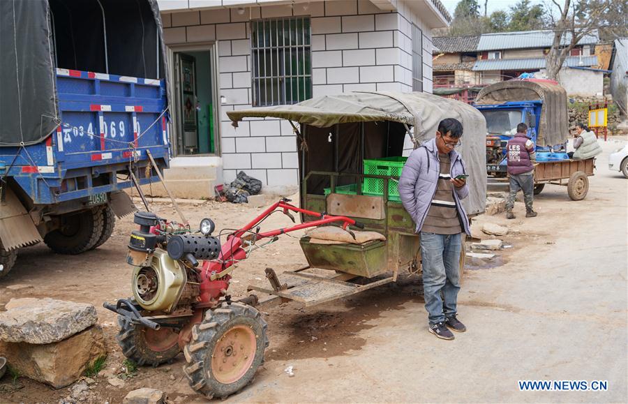 Pepino melon planting industry helps villagers get rid of poverty in SW China's Yunnan