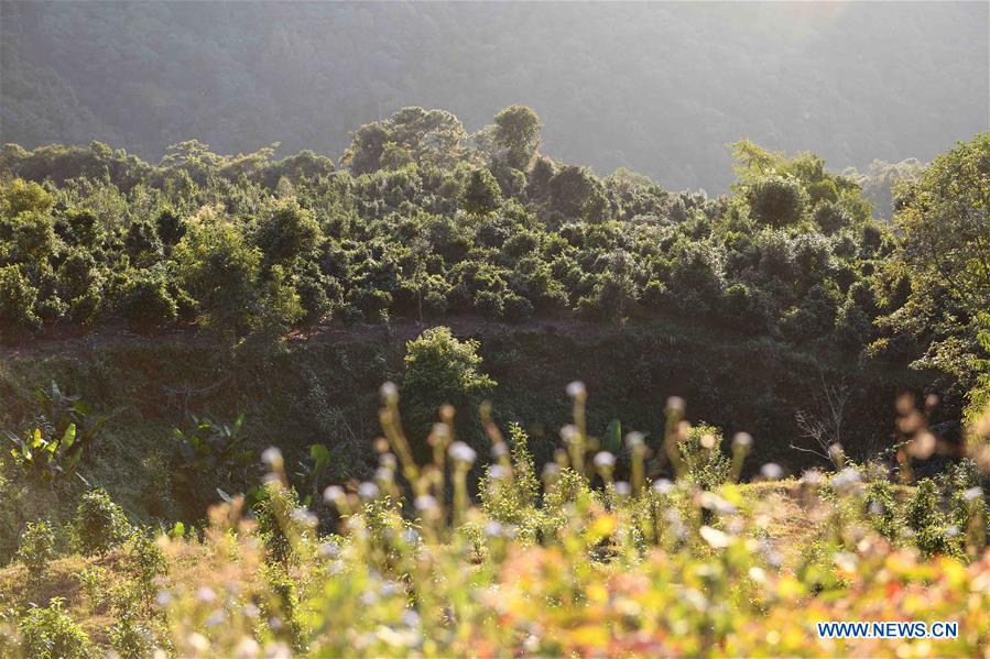 Scenery of Kunlu Mountain in Ning'er County, SW China's Yunnan