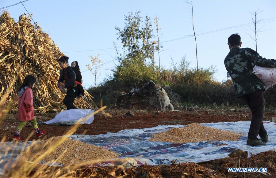 Villagers busy with farm work in SW China's Yunnan