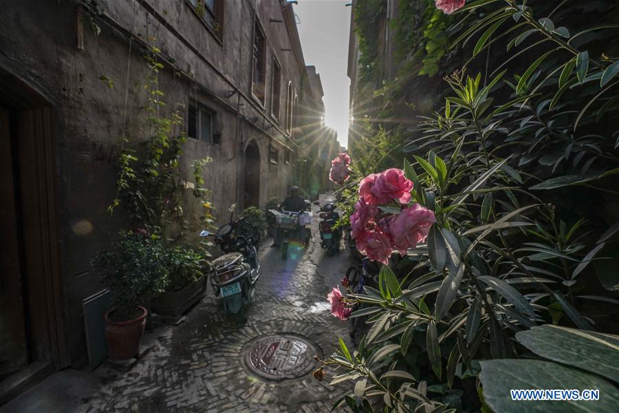 Measures carried out in poverty-stricken villages in China's Xinjiang to improve locals' living standards