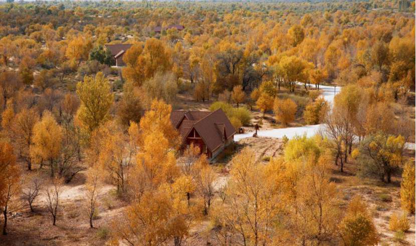 Wetlands thrive in desert in Ningxia’s Yanchi county