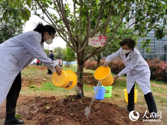 Medical teams that helped Wuhan plant ‘Thanksgiving Wood'