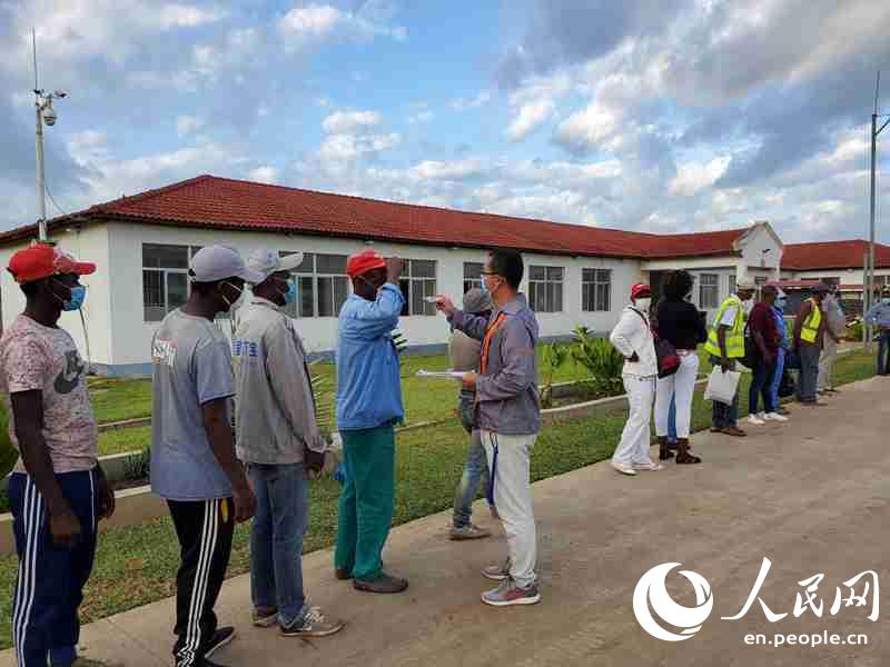 Rice planting project helps Mozambique ensure food supply amid epidemic