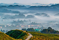 Village shrouded in advection fog in Chongqing