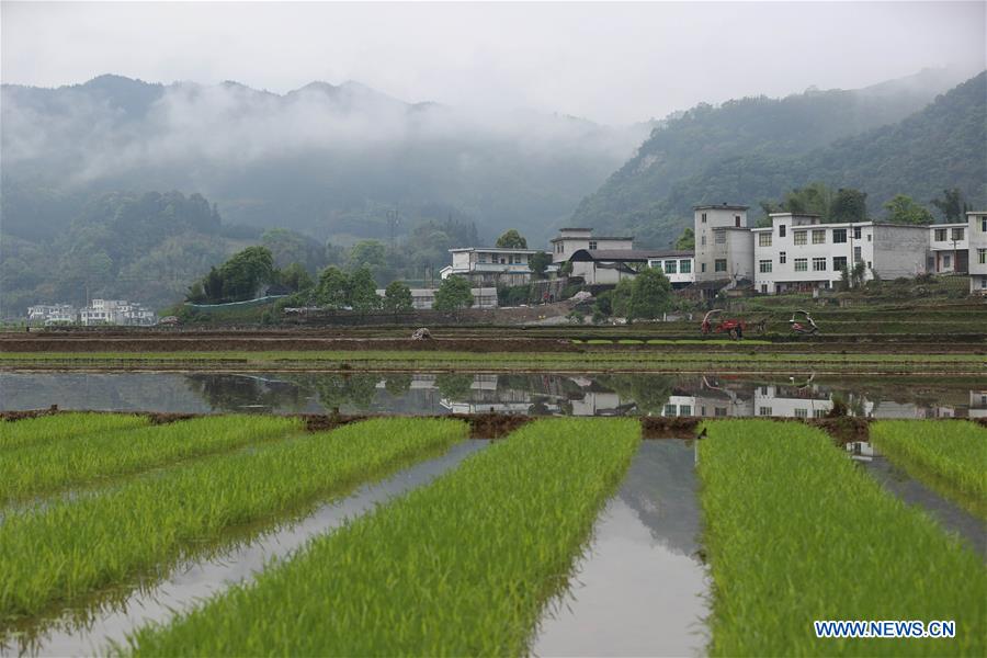 Farmers work in terraced fields in Gongxian, Sichuan