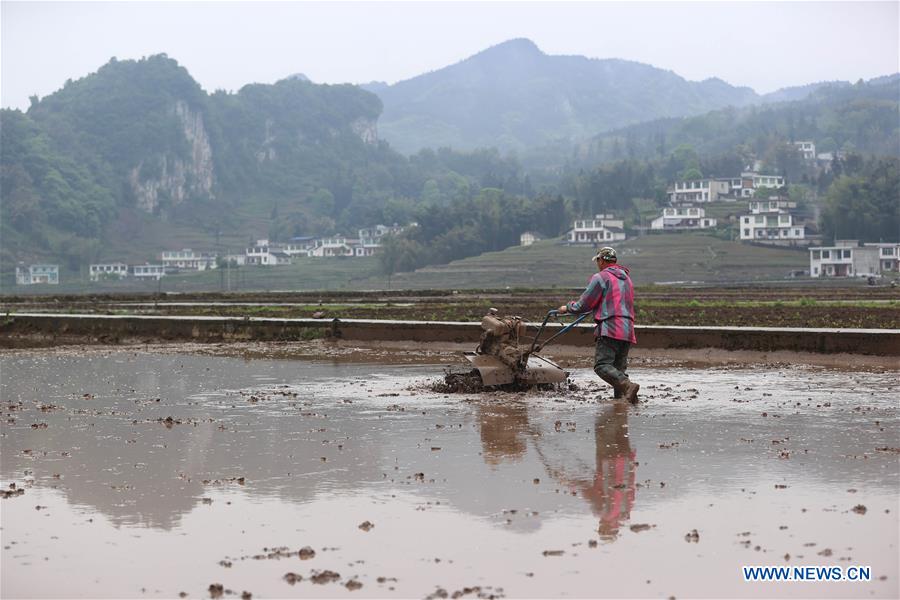 Farmers work in terraced fields in Gongxian, Sichuan