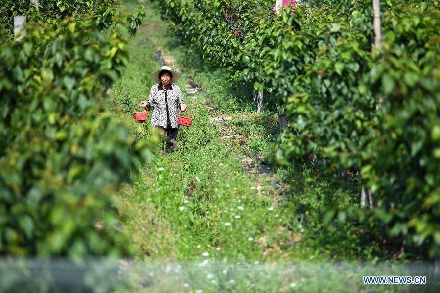 East China township promotes rural tourism to alleviate poverty