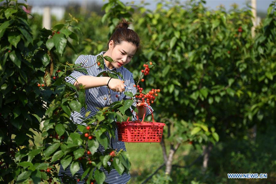 East China township promotes rural tourism to alleviate poverty