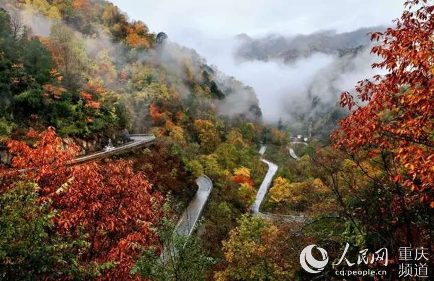 Highways facilitate Chengkou county in SW China tapping into ecotourism potential