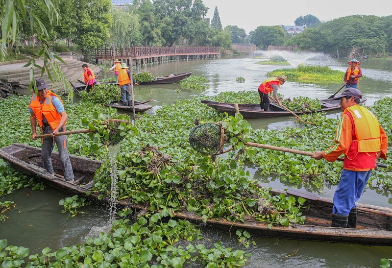 China won’t slacken efforts on ecological, environmental protection