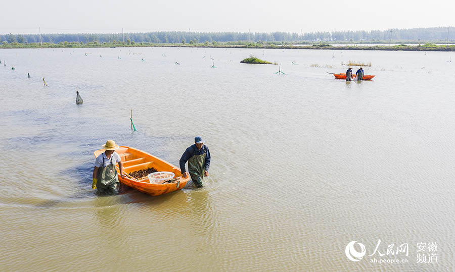 Bengbu city achieves significant results in poverty alleviation with industry development