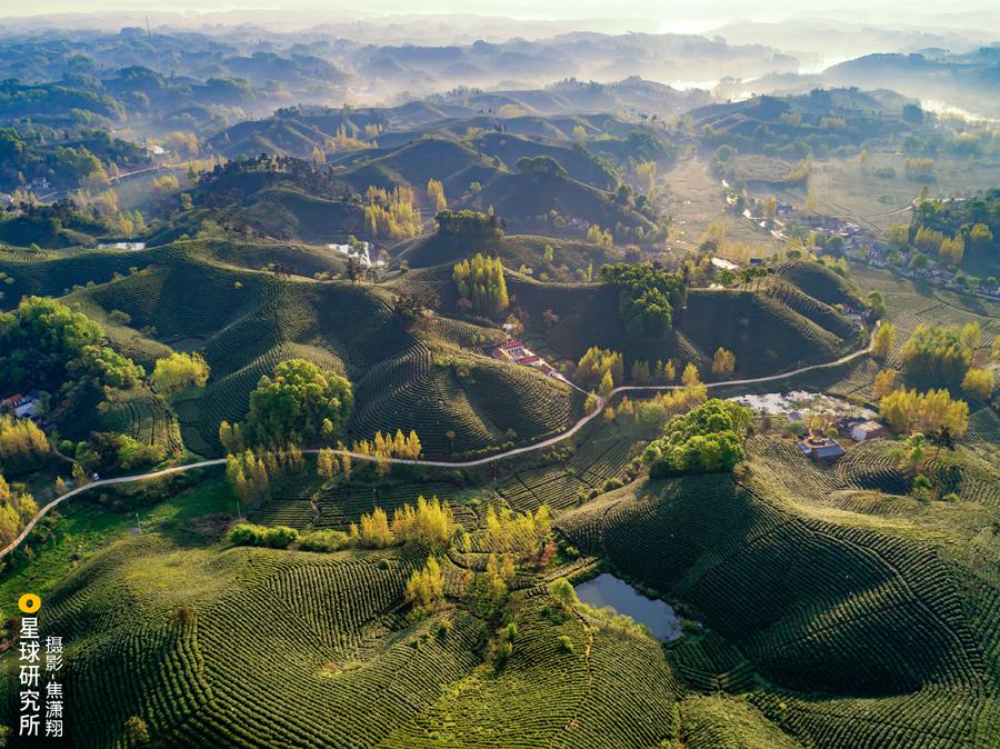 Hi, I’m China: Henan, the birth place of Chinese civilization