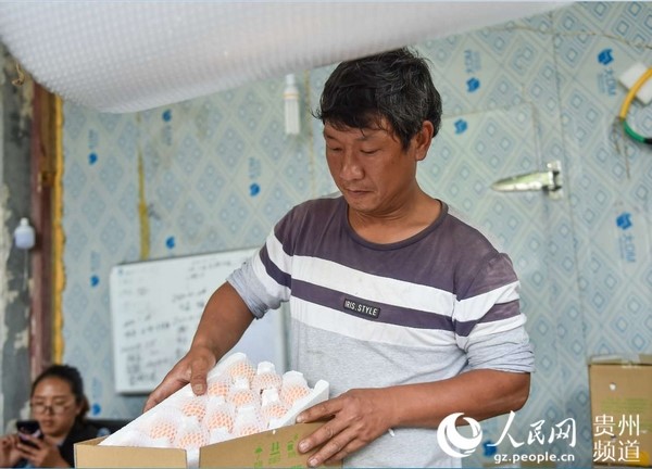 Migrant worker develops fruit planting business, helps fellow villagers increase income